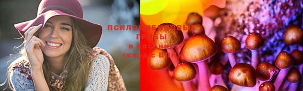 COCAINE Алексеевка