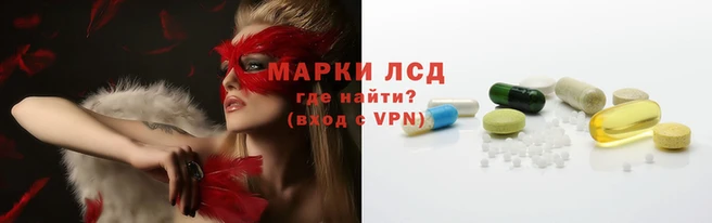 тгк Алзамай